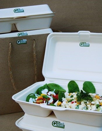 Two compartment takeout boxes | GREEN HOME