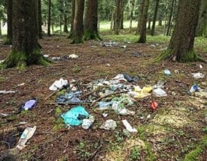 trash lying in a forest