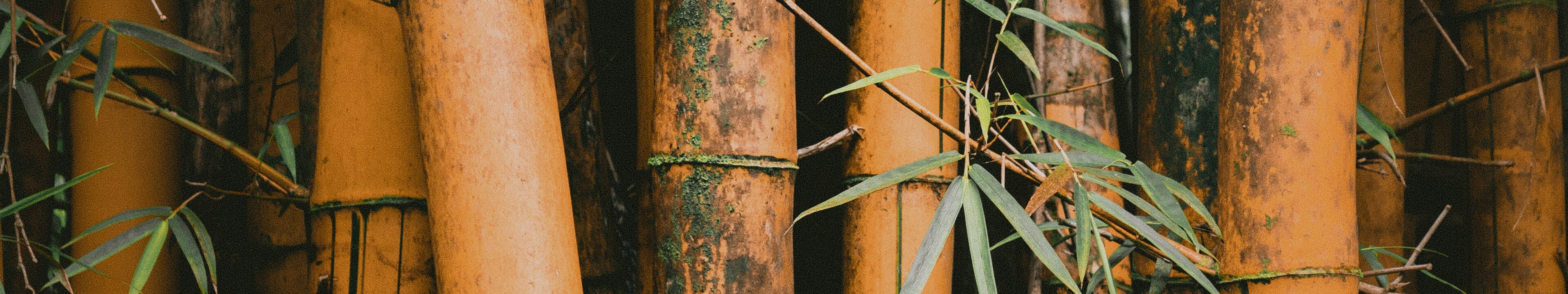 WOOD HEADER