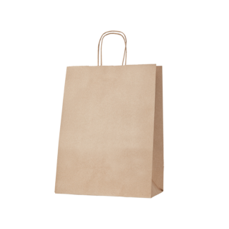 100gsm Large Kraft Gusseted Bag with Paper Twist Handles