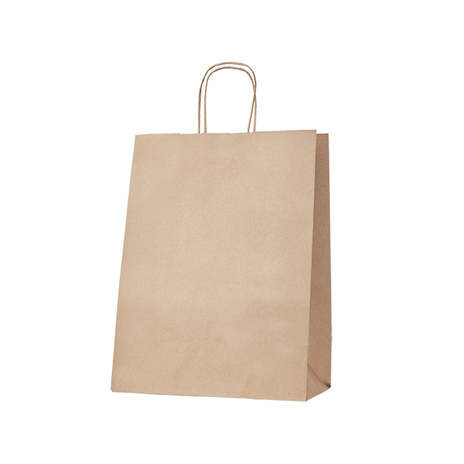 Kraft Paper Bag with Paper Twist Handles | GREEN HOME