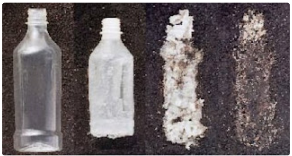 Biodegrading bottle