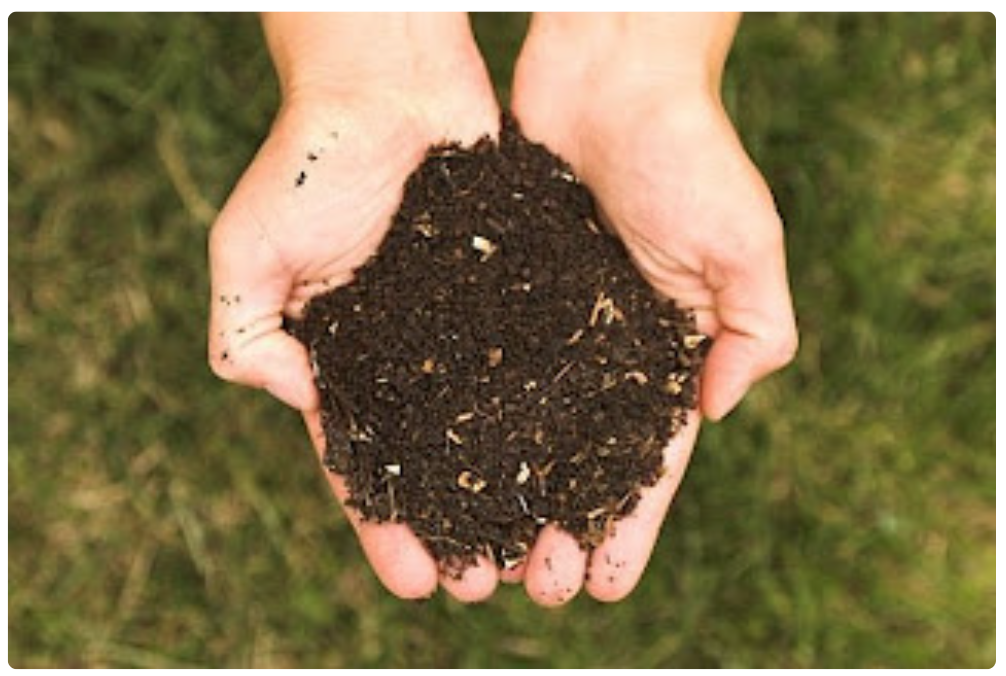 compost