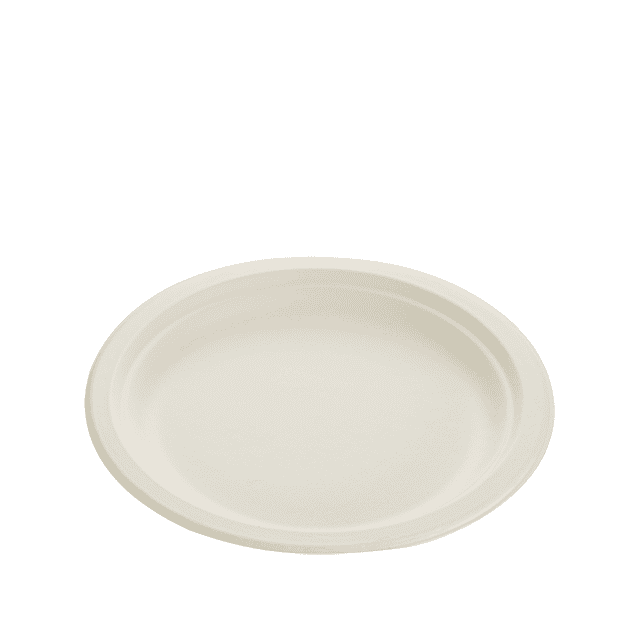 22.5cm Sugarcane Plate - Carton