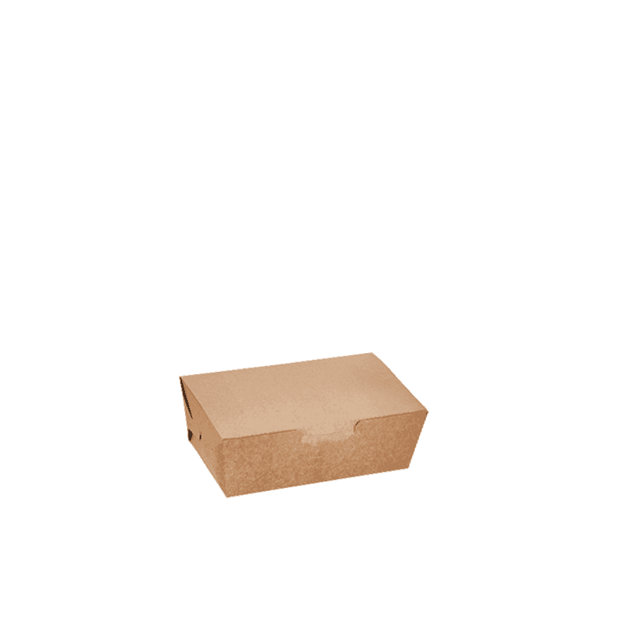 850ml Kraft Box - Carton