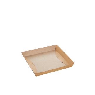 Large Kraft Square Plate - Carton