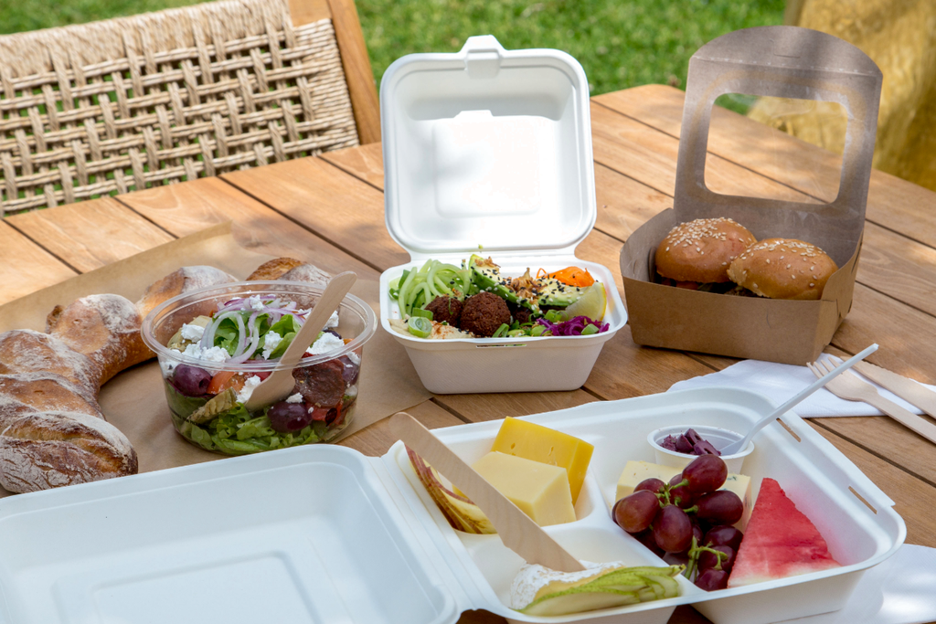 sugarcane bagasse takeaway containers